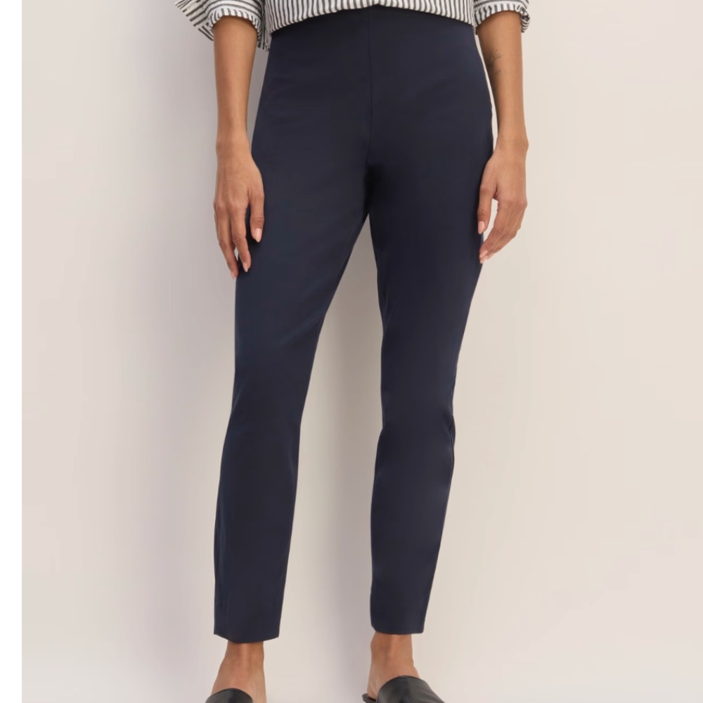 Everlane Side-Zip Work Pant in Navy (4) BNWT